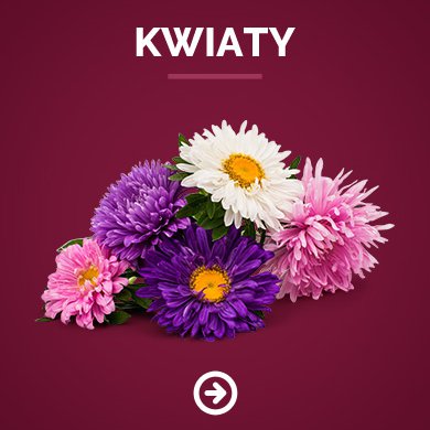 kwiaty