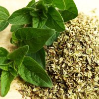 oregano